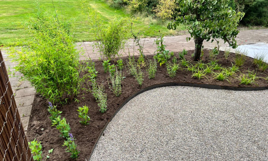 Vers aangeplante tuinborder met jonge planten en een boom langs een afgerond pad van fijn grind.